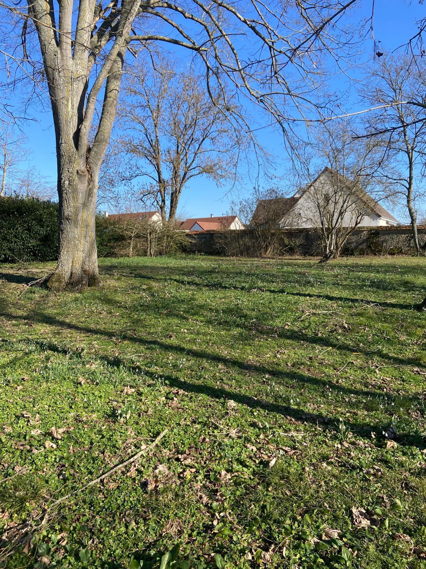 TERRAIN LA CHAUSSEE ST VICTOR